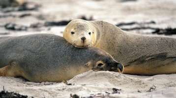 OPT_website_slider1