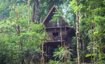 Happy Nest bungalow at Our Jungle House.